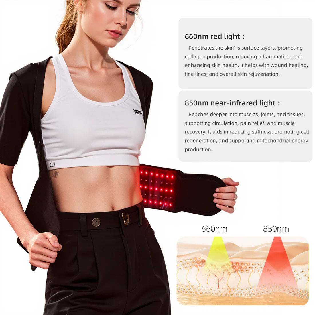 FlexRay™ - Wavelength Belt